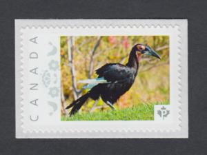 GROUND HORNBILL = Exotic bird = postage stamp  MNH Canada 2014 [pp9exb7/2]