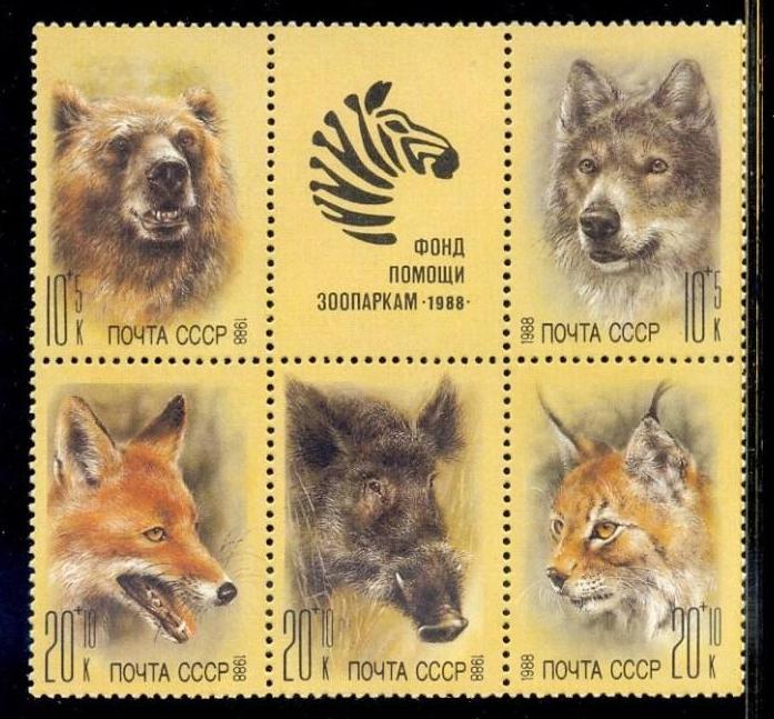 RUSSIA 5 SETS WILDLIFE BEARS WOLVES WILD CATS X1