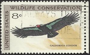 # 1430 USED CALIFORNIA CONDOR