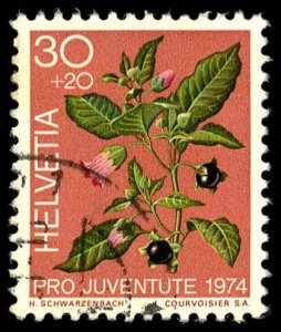 SWITZERLAND Sc B427 USED - 1974 30c + 20c - Belladonna