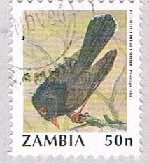 Zambia Bird 50 1 (AP112719)