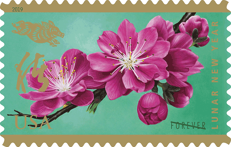 #5340 2019 year of the Boar Single - MNH