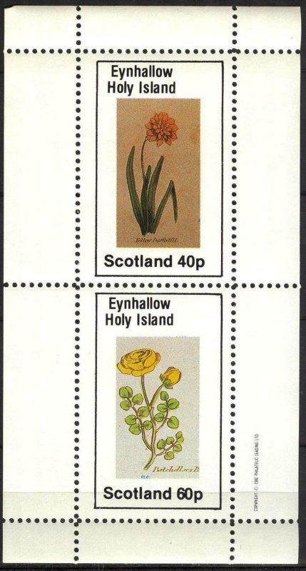 {E139} Eynhallow Scotland Flowers (2) Sh.2 MNH Cinderella !!