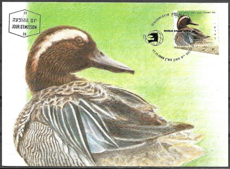 Israel 1989 Maximum Card Garganey Ducks Of Israel 