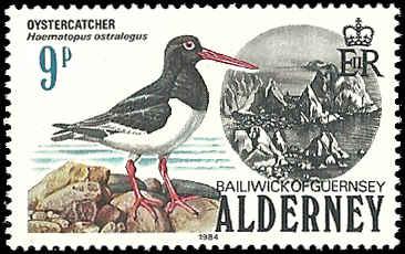 Alderney - 13 -MNH - SCV-1.00