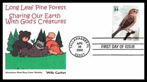 #3611 Long Leaf Pine Forest - AFDCS  / Wile Cachet