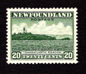 NEWFOUNDLAND  SC# 196  VF/MNH