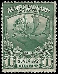 NEWFOUNDLAND   #115 MNH DISTURBED GUM (1)