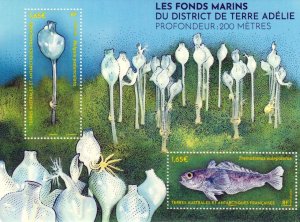 TAAF - Postfris/MNH - Sheet Marine Life 2024