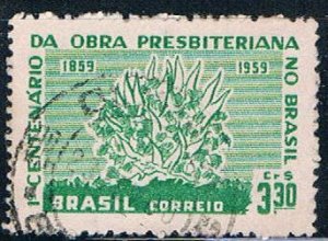 Brazil Flowers 330 (BP2R101)