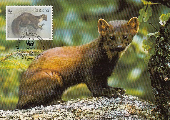 Ireland 1992 Maxicard Sc #871 52p Pine martens WWF