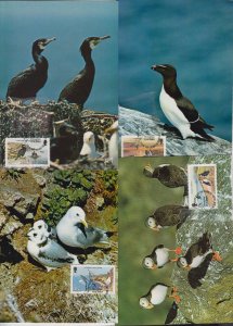 Isle Of Man 1983 - Sea Birds set 12 Maxicard