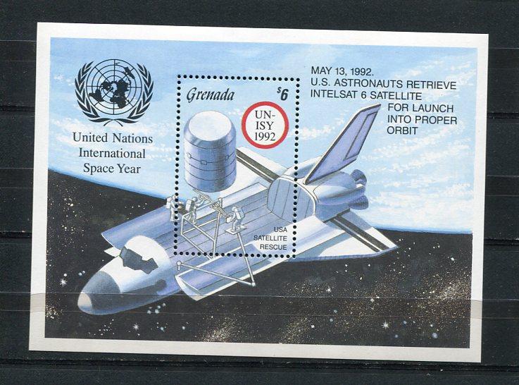 Grenada 1992 Sc 2153 Souvenir Sheet MNH UN International Space Year 5578