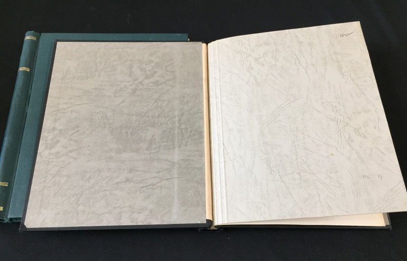 SPRINGBACK Binders x 13 Senator Gibbons Tower .8kg(K706)