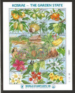 MICRONESIA SC# 103   VF/MNH