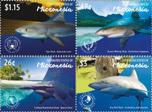 Micronesia 2015 - Sharks - Set of 4 stamps - MNH