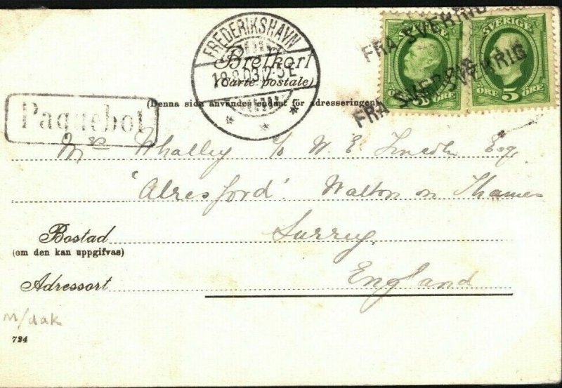 SWEDEN MARITIME 1903 Fisktorget FRA SVERIGE Card Denmark PAQUEBOT Surrey Q11c