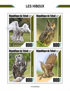 Chad - 2020 Owls, Snowy, Long-eared - 4 Stamp Sheet - TCH200509a