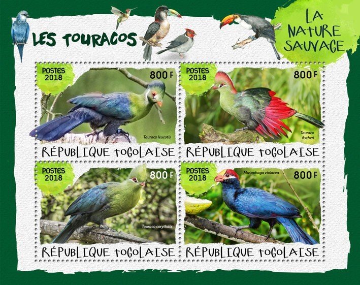 TOGO - 2018 - Toucans #1 - Perf 4v Sheet - Mint Never Hinged