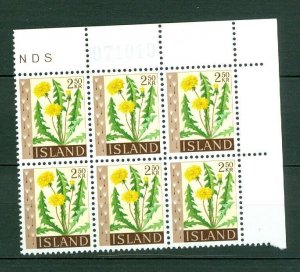 Iceland. 1960  Flowers II  2.50 Kr,Mnh. Plate # 071019. Block of 6. Scott# 331