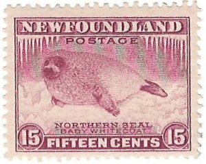 Scott: 195 Newfoundland - Northern Seal - MNH