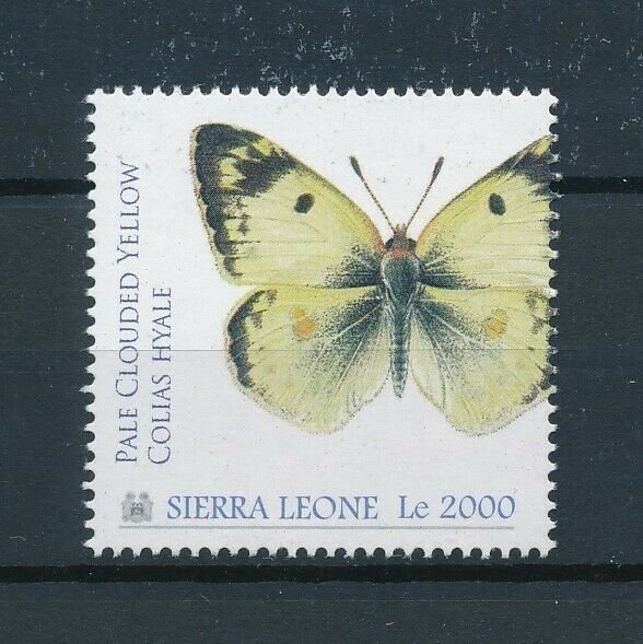 [107907] Sierra Leone 2010 Insect butterfly schmetterling  MNH