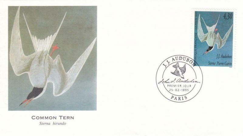 1995, France: Common Tern, FDC (D13899)