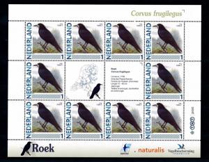 [43452] Netherlands Nederland 2011 Birds Vögel Corvus frugilegus MNH Sheet