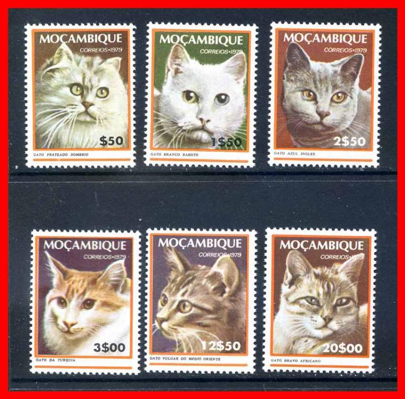 Mozambique 1979 #618-623, Cats set of 6  --  MNH