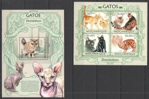 B0018 2013 Mozambique Cats Pets Fauna Animals 1Kb+1Bl Mnh