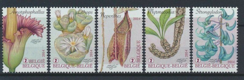 [BEL42] Belgium 2014 Flowers good set of stamps very fine MNH