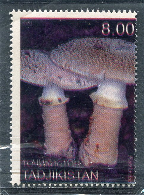 Tajikistan 2000 MUSHROOMS 1 value Perforated Mint (NH)