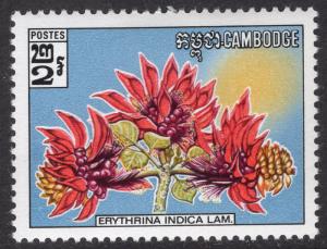 CAMBODIA SCOTT 259