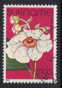 Surinam #488  cancelled 1978 flowers 75c