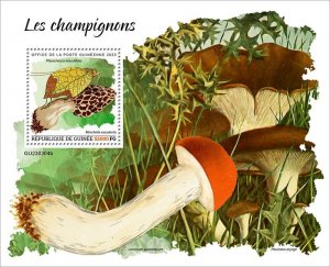 GUINEA - 2023 - Mushrooms - Perf Souv Sheet - Mint Never Hinged