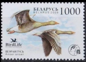2009	Belarus	762	Birds