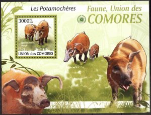 Comoro Islands 2009 Animals Boars S/S MNH