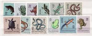 POLAND Sc 1134-45 NH ISSUE OF 1963 - REPTILES