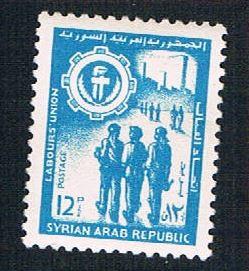 Syria 479 MLH Workers (BP09217)