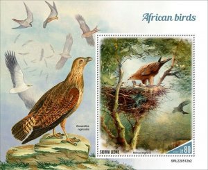 Sierra Leone - 2022 African Birds, Black Kite - Stamp Souvenir Sheet SRL220512b2