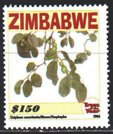 Zimbabwe. 2006. 856 from the series. Ziziphus Moorish, fruit. MNH.