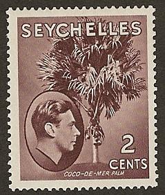 Seychelles  MLH S.C.#  125