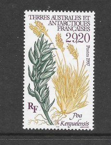 FRENCH SOUTHERN ANTARCTIC TERRITORY -   CLEARANCE#229 FLOWER MNH