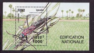 Cambodia-Sc#1322-Unused NH sheet-Insects-Leptocorisa Oratorius-1993-