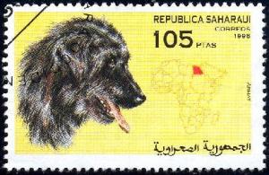 Dog, Armat, Sahara stamp used