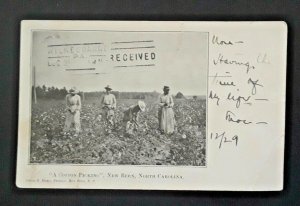 1905 New Bern NC To Wilkes Barre PA A Cotton Picking Real Photo Postcard Cover