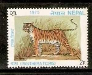 Nepal 1975 Wild Life - Tiger Animal Sc 304 MNH 1v # 2504