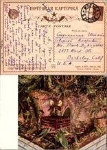 Russia, Picture Postcards