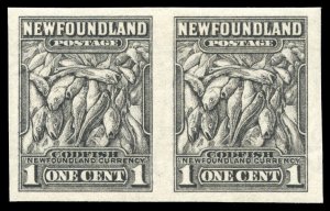 Newfoundland 1932 Atlantic Cod 1c horizontal IMPERFORATE PAIR vfm. SG 222a.