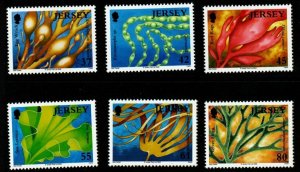 JERSEY SG1444/9 2009 MARINE LIFE MNH